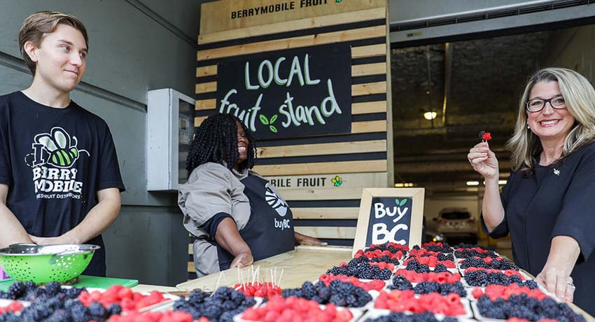 Woman holding a strawberry visiting a local fruit stand.
