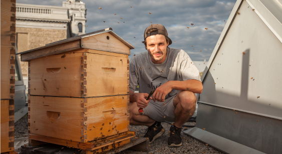Supporting urban pollinators