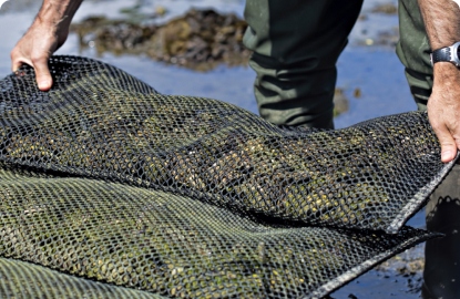 Ourpart climate action